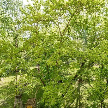 Eden Enchantment 부다페스트