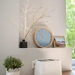 Appartement Eden Enchantment